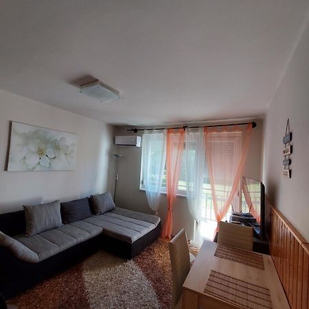 Dorka Apartman ボニャルツバシュ エクステリア 写真