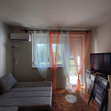 Dorka Apartman ボニャルツバシュ エクステリア 写真